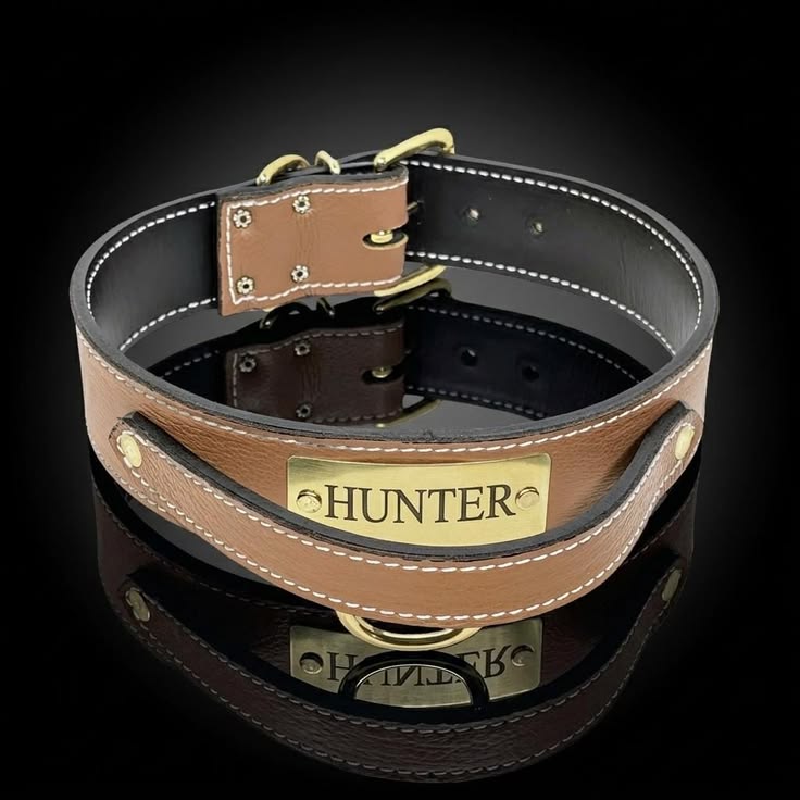 Leather Agitation Dog Collar with Handle